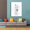 thumbnail image 5 of Caballo blanco pintura al óleo lienzo póster impresión HD animales artísticos cuadro de pared sin marco sala de estar dibujo al óleo Vogacara JJ11742-03, 5 of 5