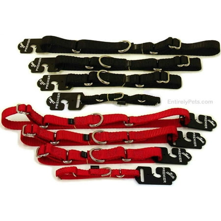 UPC 759023000213 product image for Premier Collar  3/4 inch   COLORS: Black  SIZES: PETITE 3/8 in. | upcitemdb.com