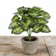 thumbnail image 5 of Plantas de follaje artificial para la decoración del hogar | Arreglos de vegetación artificial | Plantas de plástico en maceta para paisajismo interior y exterior, 5 of 6