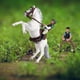thumbnail image 1 of Figura de caballo perfecl Modelo caballo con silla de montar PVC decoración de escritorio Estilo F, 1 of 8