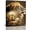 Lion Sheep, variant on Farmhouse Flower Bathroom Decor Wall Art Rustic Hummingbird White Floral Pictures Wall Decor Just Breathe Canvas Painting Prints Artwork Home Decorations Framed for Bedroom12inx16in