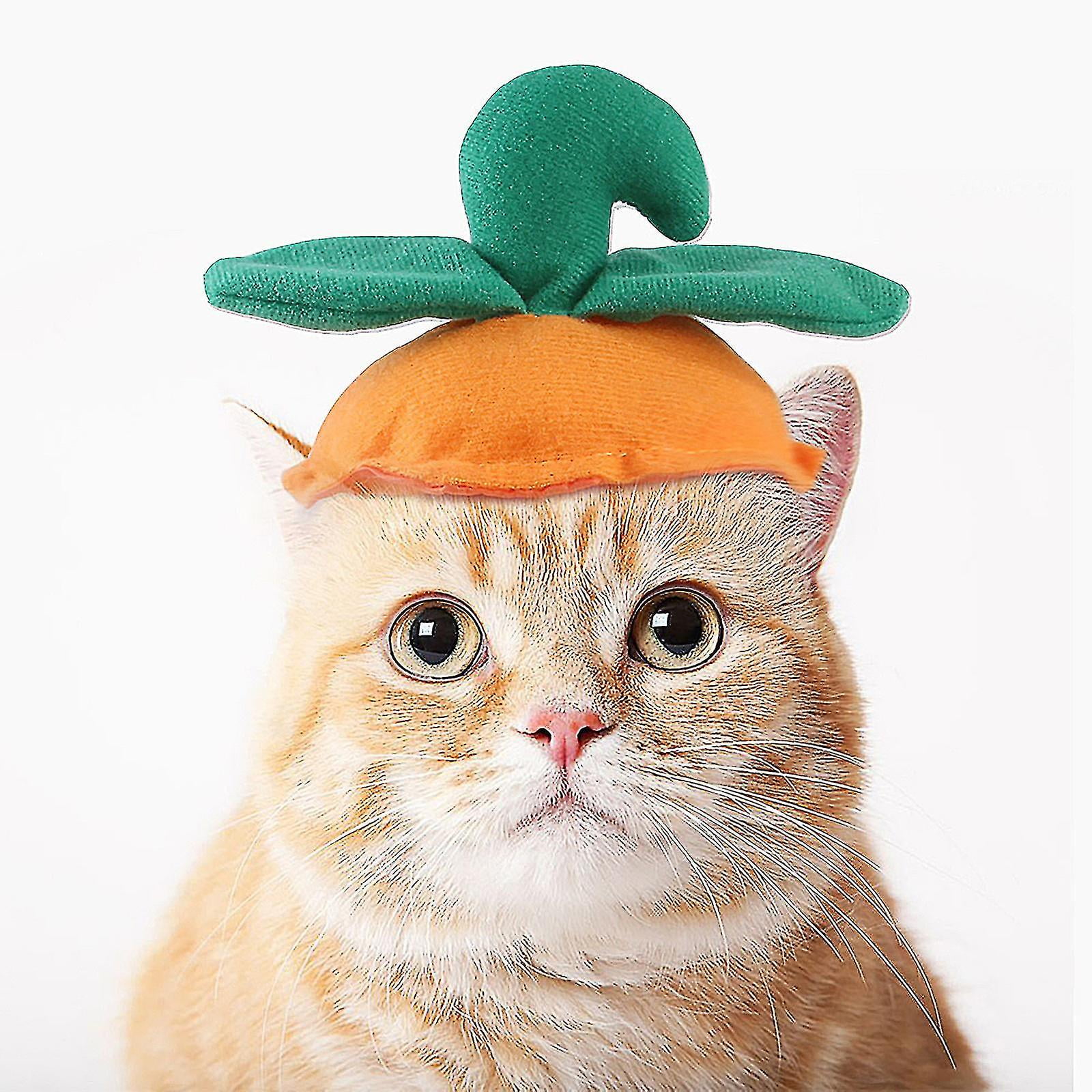 Funny Pet Clothes Pumpkin Hat Halloween Cute Small Medium Cat Dog Dress Up  | Walmart Canada