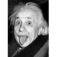 thumbnail image 1 of Einstein - Langue - 6000-1324, 1 of 2