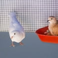 thumbnail image 4 of FESTFENDS De Jaula Para Loros Resistente Al Desgaste Ideal Para Uso Cotidiano Y Cuidado, 4 of 7