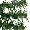 thumbnail image 2 of Northlight 36" Canadian Pine Artificial Christmas Wreath - Green Unlit, 2 of 5