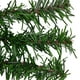 Northlight 36 "Couronne de NoÃ«l artificielle de pin Green Canadien - DÃ©liter – image 2 sur 5