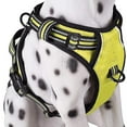 thumbnail image 2 of No-pull Dog Harness Padded Adjustable Pet Vest Harness For Large Dogs Training Or Walking, 2 of 4