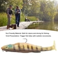 thumbnail image 4 of 12,5 Cm Leurres de Pêche, Appâts en Silicone T Queue Poisson Vif Mords Conception de Poisson Réaliste pour l'Eau Salée d'Eau Douce, 4 of 8