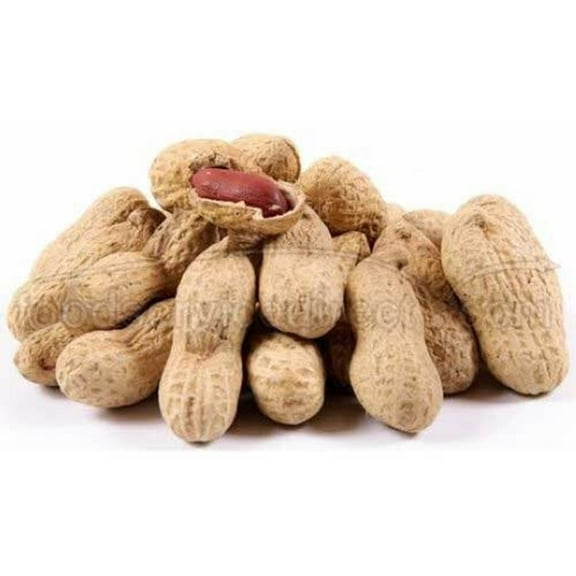 Bulk Nuts Jumbo Peanuts Roasted and Salted - Single Bulk Item - 30LB