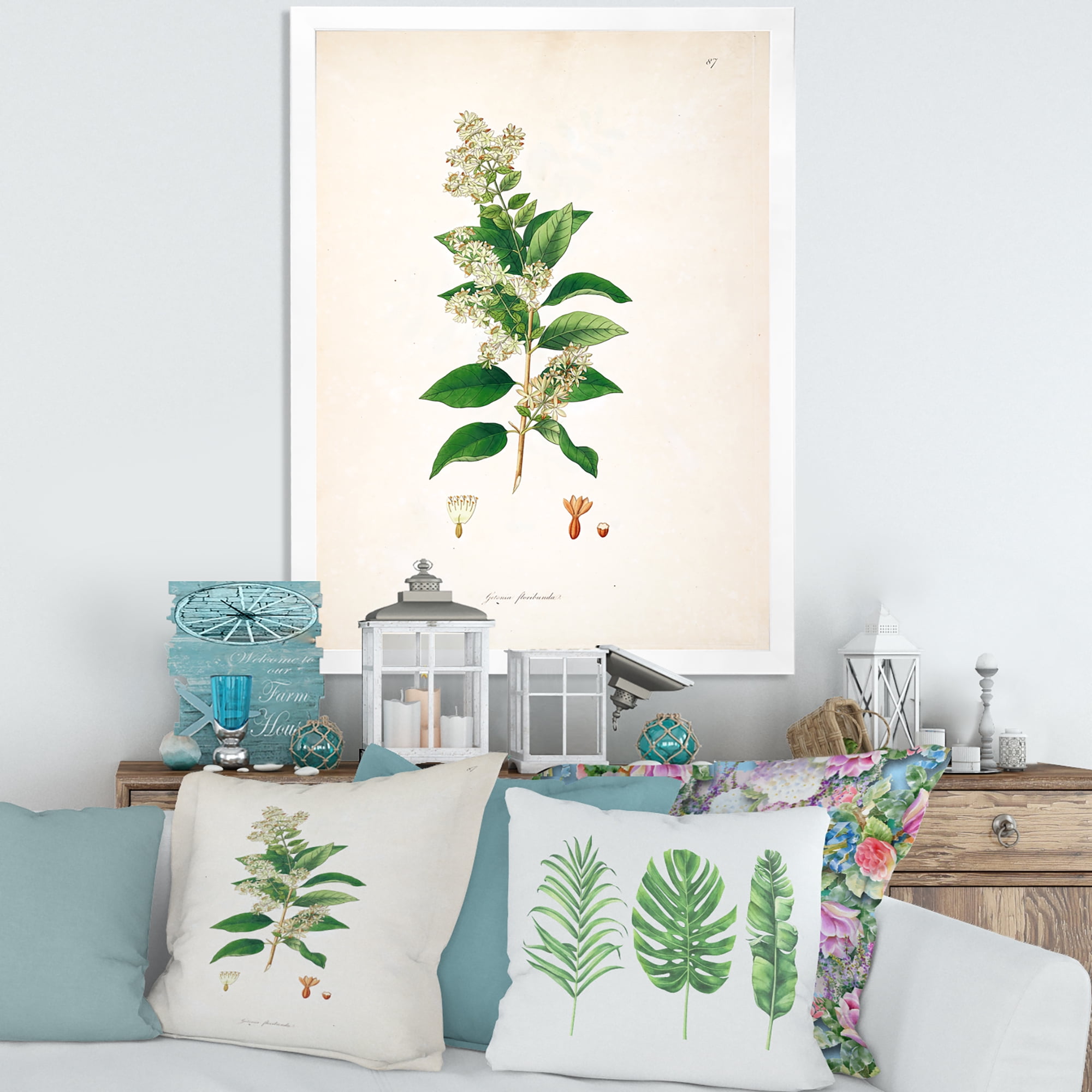 Designart 'Ancient Botanicals XVII' Farmhouse Framed Art Print