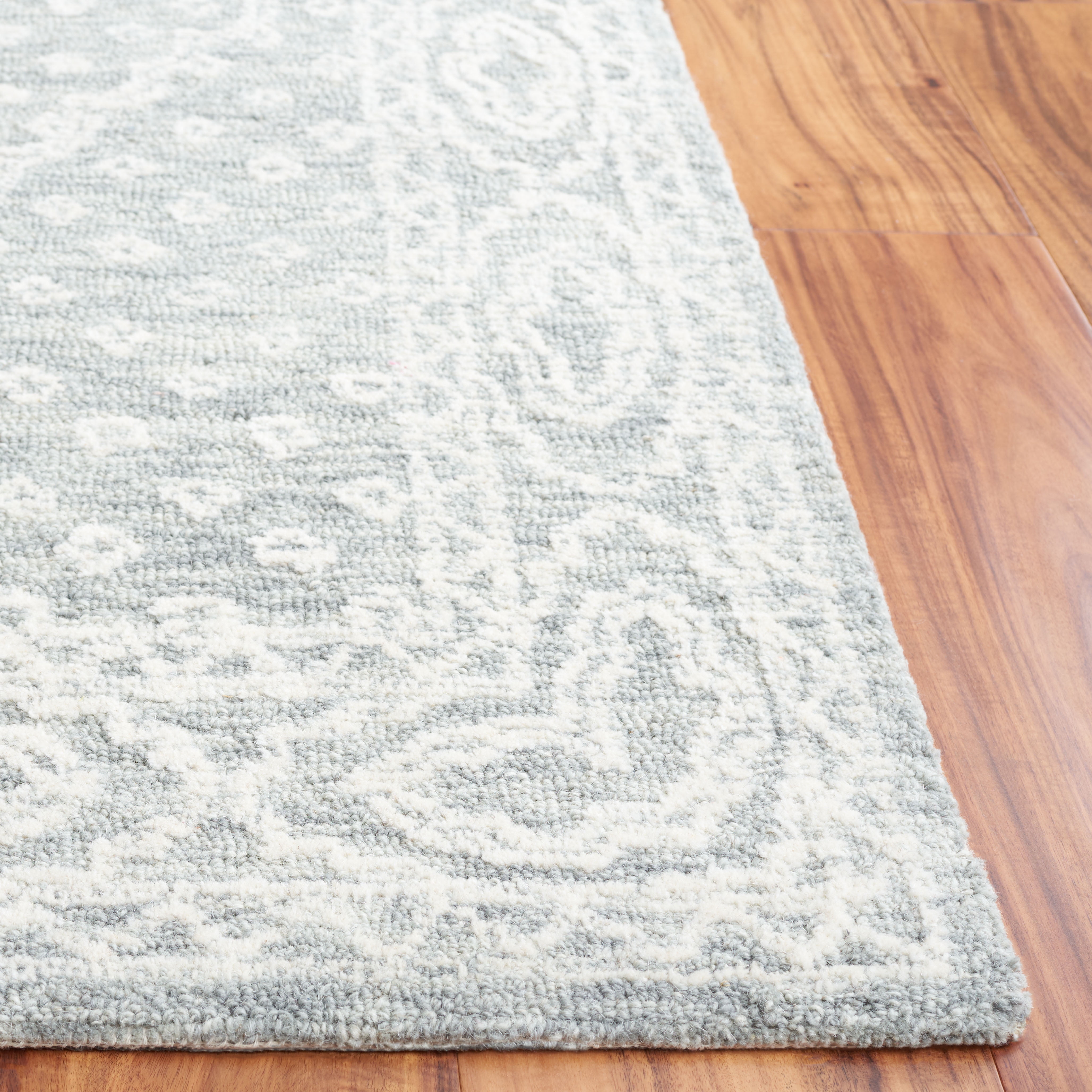 SAFAVIEH Ebony Aiden Bordered Area Rug, Ivory/Grey, 4' x 6'