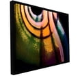 thumbnail image 2 of ArtWall Dean Uhlinger "La Tierra Al Cielo" Floater Framed Gallery-Wrapped Canvas, 2 of 2