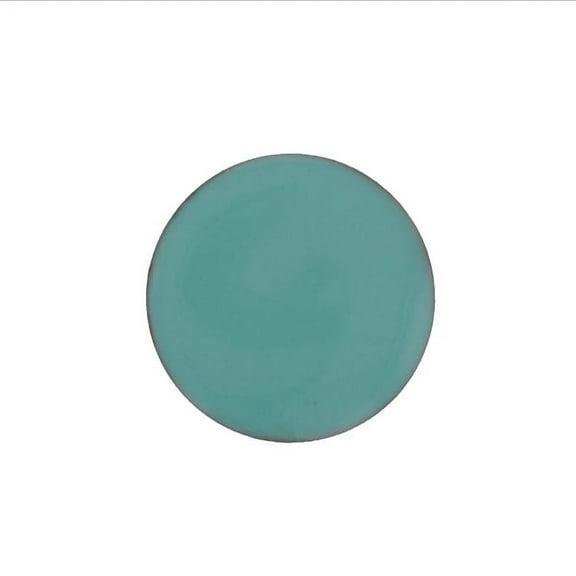 1415 Sea Foam Green Thompson Opaque Enamel 2 Ounce
