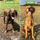thumbnail image 5 of Boquilla rociadora de alta presión, manguera, pistola de ducha para perros, 3 modos, ajustable, para lavado de mascotas, baño, agua, espuma, jabón, rociador, herramienta de limpieza para perros, 5 of 5