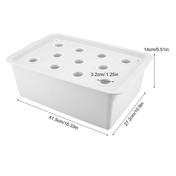 Boîte de culture hydroponique en plastique pour chat, bol de plante, tasse  hydroponique, boîte de culture, sans graines de plantes, menthe