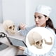 thumbnail image 4 of Modelo de cráneo médico Modelo de cráneo humano desmontable Modelo de cráneo humano realista para educación, 4 of 8