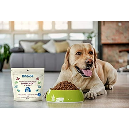 Because Animals Superfood & Probiotic Supplement for Dogs (4.4oz) - All-Natural, Human-Grade Ingredients -with Vitamins, Minerals, Antioxidants and More for Better Digestion, Coat and Overall Health