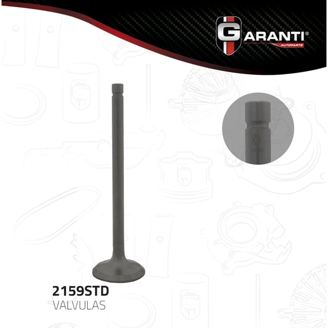 Valvula Escape Garanti Para Pontiac Tempest 1987 - 1991 (Garanti)