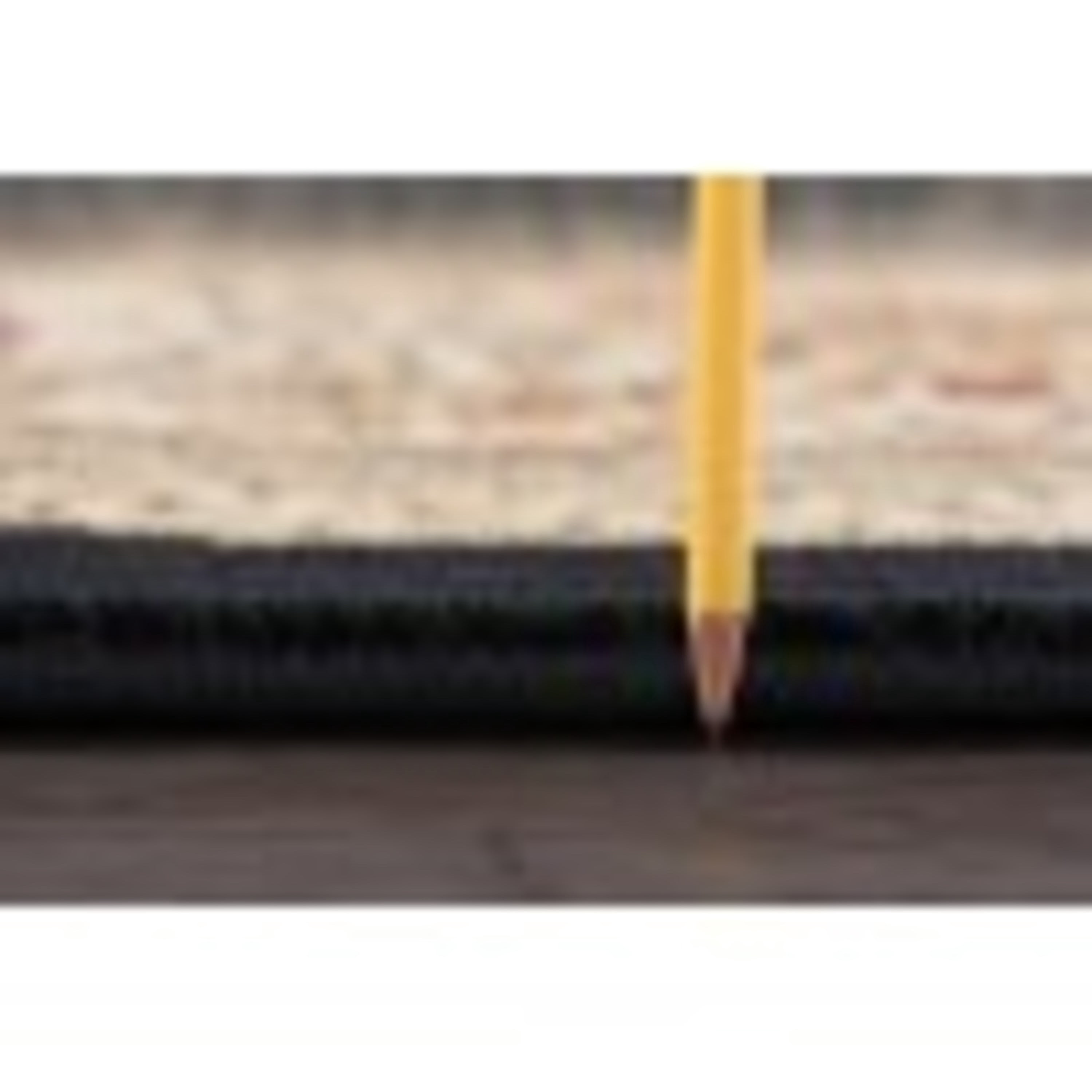 Sensation Traditional 2' x 7' Black and Beige Polypropylene Indoor Area Rug