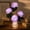 Purple,Free Size270, variant on Danieerclosy Hydrangea Flower Night Light Color Changing LED Table Lamp For Bedroom Decor For Holiday And Gift Use,Blue