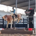 thumbnail image 5 of PBR® Bucking Bull & Rider, 5 of 5