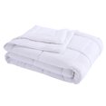 thumbnail image 1 of Lotus Home Stayclean Bacteria Reducing Down Alternative Bed Blanket With Microfiber Cover and Water and Stain Resistance, 1 of 2