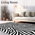 thumbnail image 2 of ODIKA 3x5 Machine Washable Non-Slip Area Rug, Zebra Stripe Anti Slip Shag with Bold Contrasting Design Ultra Soft Rug, None, 596079, 2 of 7