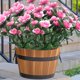 thumbnail image 3 of Real Sentir Flores Artificial Azalea Ramo Rosa Caliente 13.78In, Ornamentos Rojos Oscuros, Simulación Verde para Arreglo de Decoración Del Jardín Del Hogar, 3 of 6
