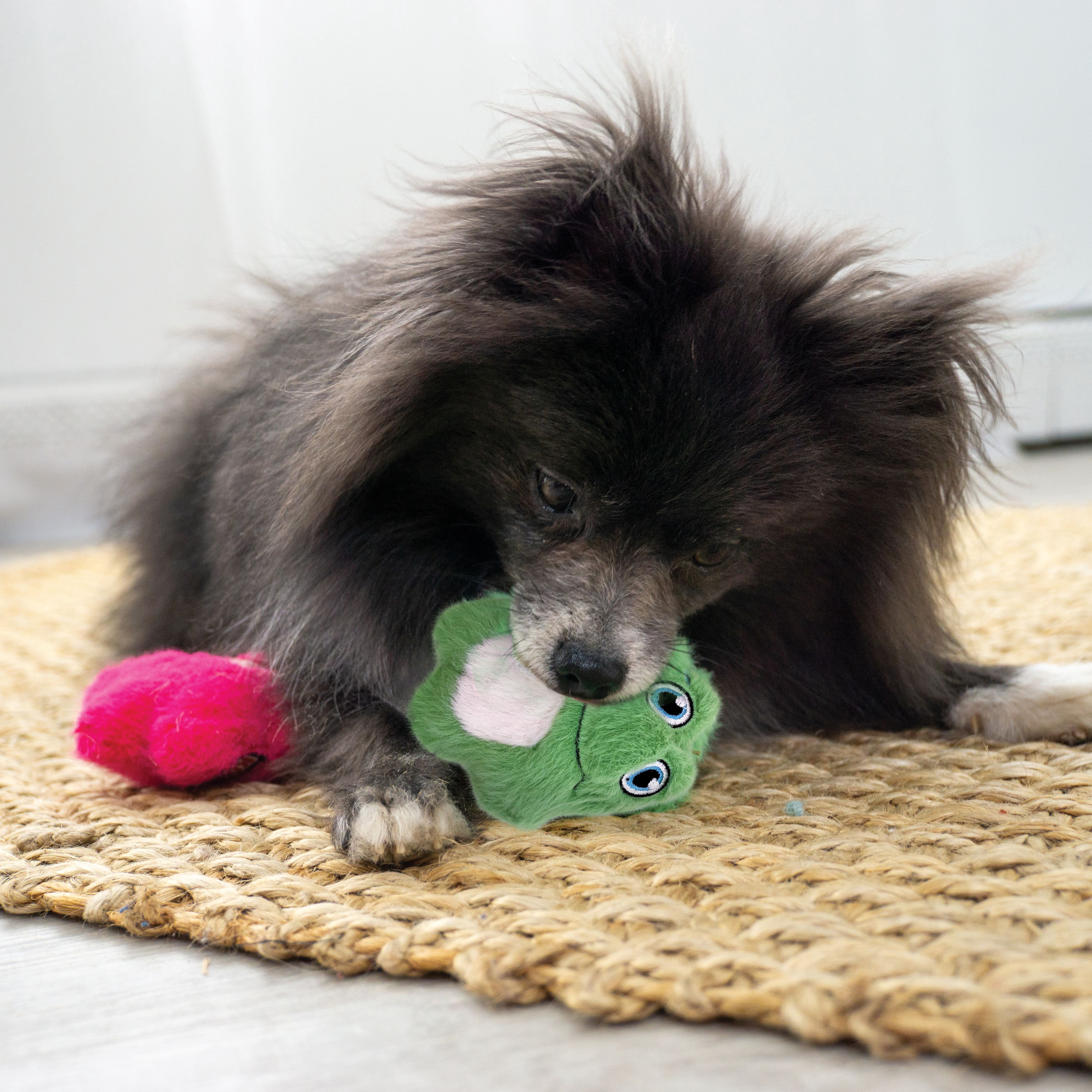 KONG® Snuzzles Mini Plush Squeaker Dog Toy, Frog, Extra Small