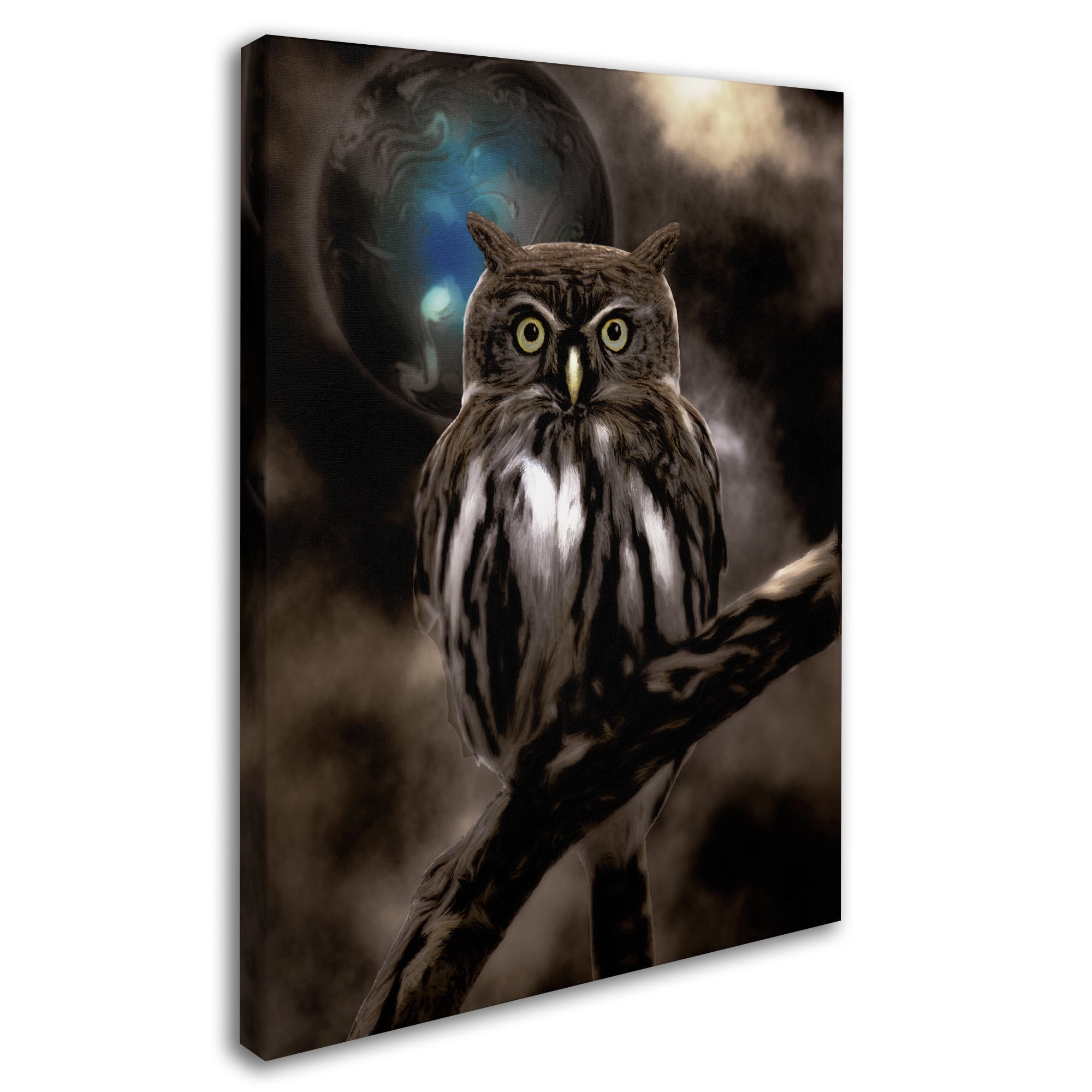 Trademark Fine Art "Night Owl" Canvas Art by Color Bakery