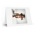 thumbnail image 2 of DistinctInk Greeting Card / Note Card - Welsh Springer Spaniel Puppy Graduation - PACK of 50, 2 of 7