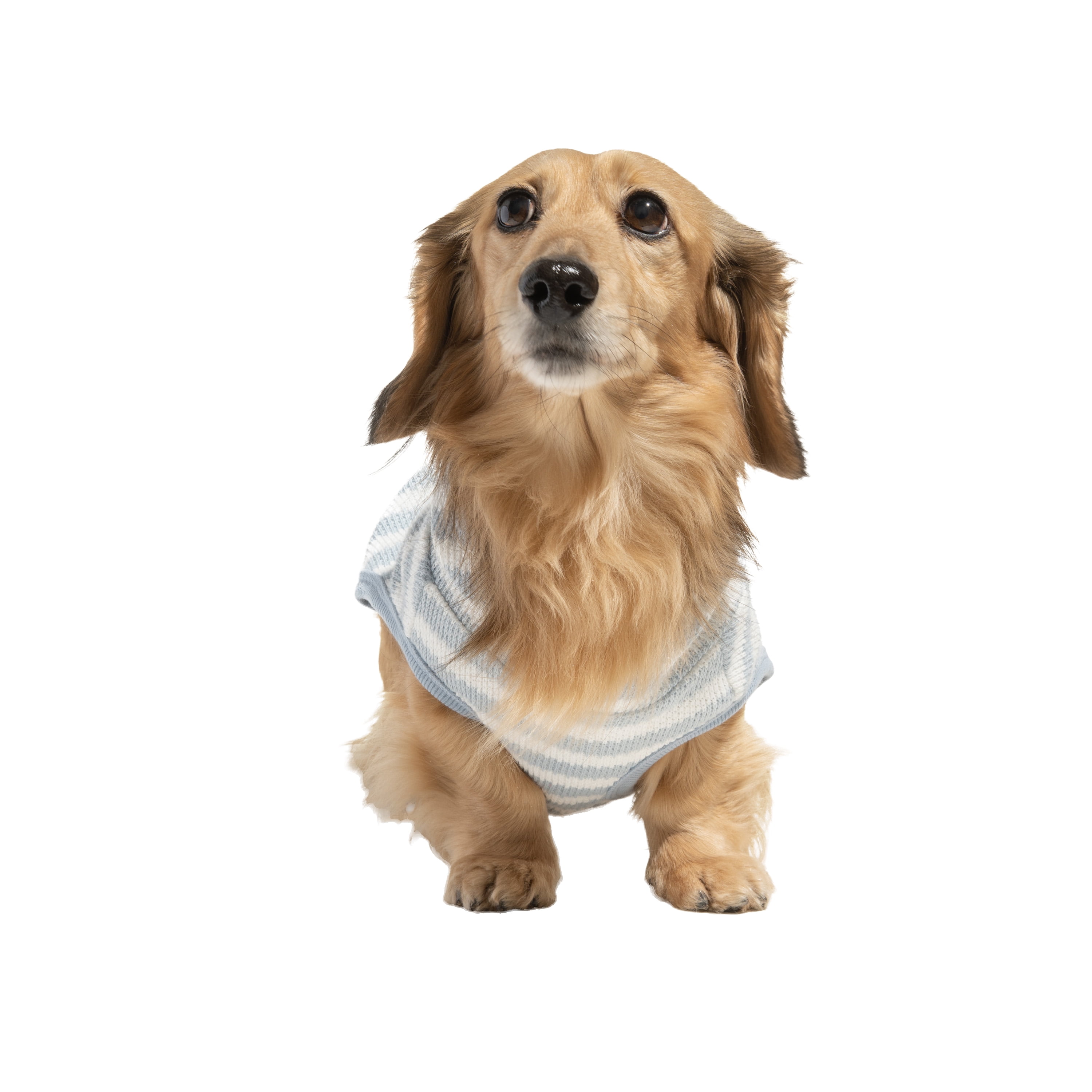 Oodles Blue Non-Stop Fun Striped Spring Bubble Hem Dog Hoodie, Small