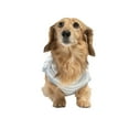 thumbnail image 6 of Oodles Blue Non-Stop Fun Striped Spring Bubble Hem Dog Hoodie, Large, 6 of 12