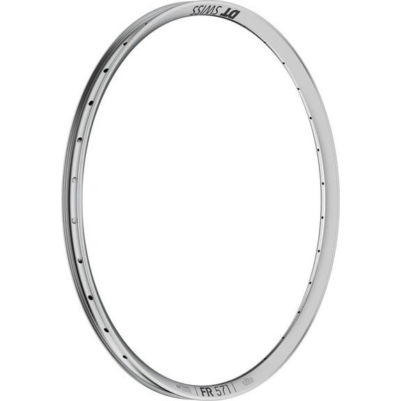DT Swiss FR 571 Tubeless Ready 29" Disc Rim, 32h, Silver