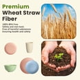thumbnail image 4 of Homienly 40-Piece Wheat Straw Dinnerware Set, Service for 8, Reusable Plates, Bowls & Cups, Microwave & Dishwasher Safe, Multi Light, 4 of 8