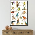 thumbnail image 2 of Designart 'Vital Colored Birds Plancard' Traditional Framed Canvas Wall Art Print, 2 of 5