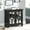 Antique Black, variant on Wood Accent Chest with Mirrored Doors for Storage / Ideal for Living Room and Bedroom