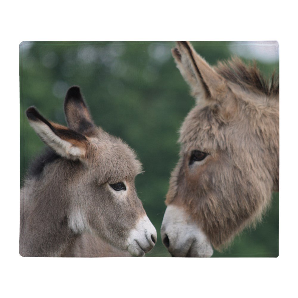 CafePress Donkey Clock Throw Blanket Soft Fleece Throw Blanket, 50