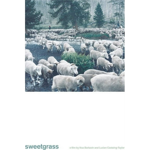 Sweetgrass (DVD), Grasshopper Film, Documentary