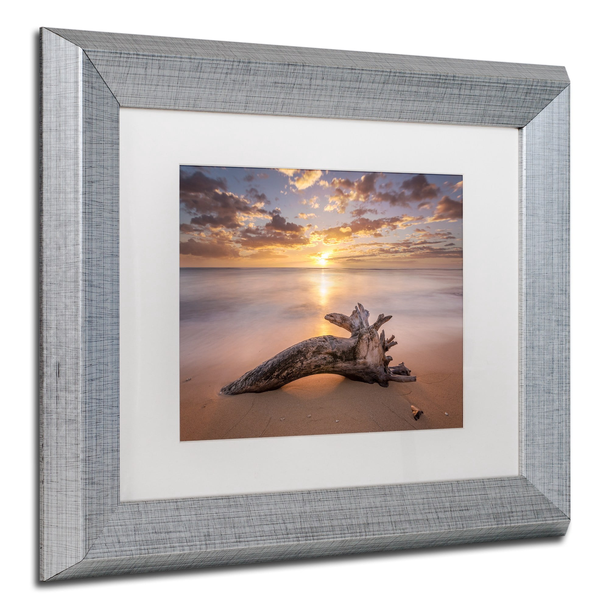 Trademark Fine Art 'Beach Tree Sunrise' Canvas Art by Pierre Leclerc, White Matte, Silver Frame