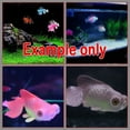 thumbnail image 4 of Modern Home Decor, Aquarium Decorative Aquarium Equipment Accessories, 4 of 6