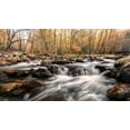 thumbnail image 2 of Head, Danny 18x12 White Modern Wood Framed Museum Art Print Titled - Autumn at Porters Creek, 2 of 4