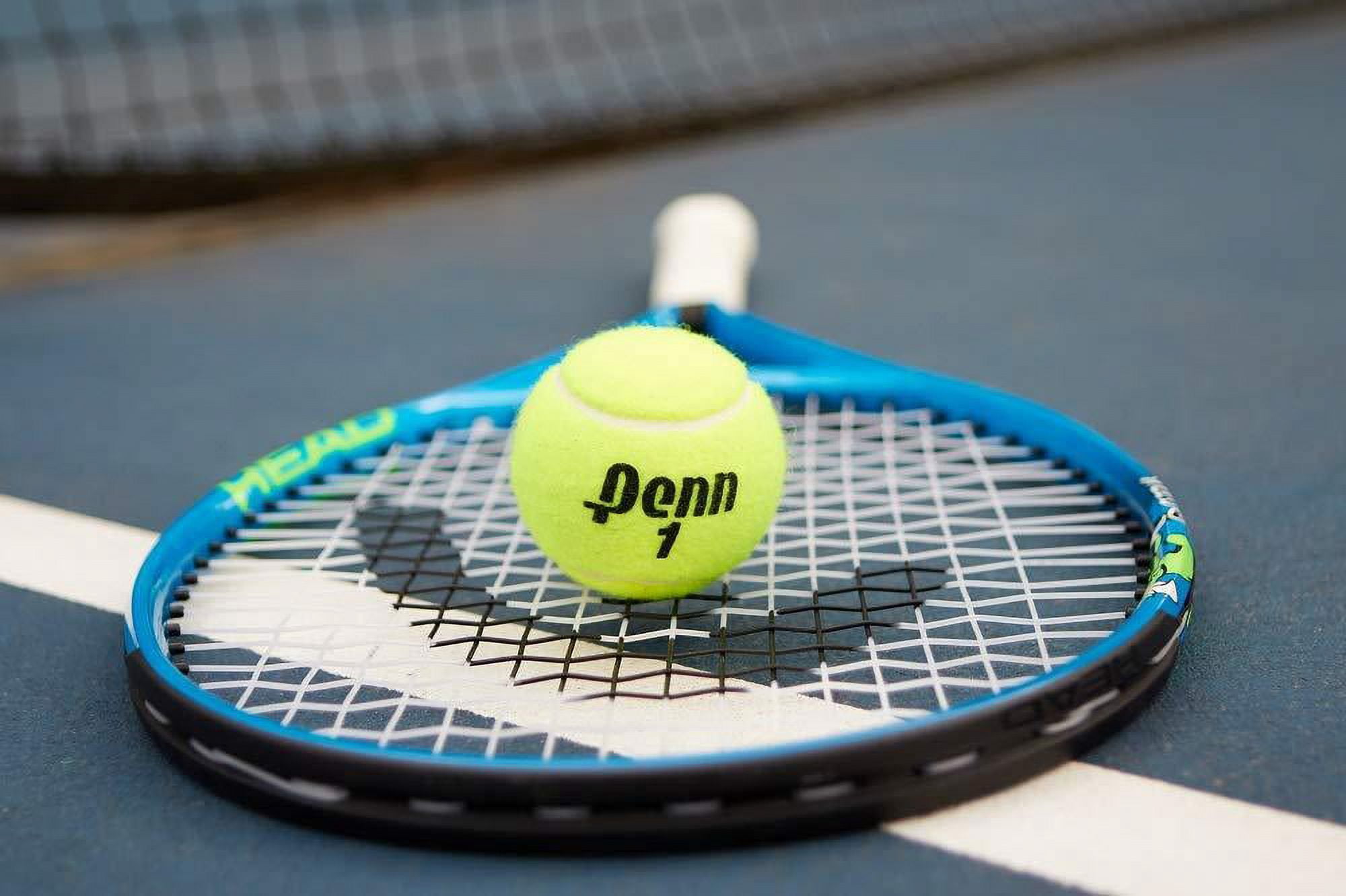 Penn Championship Extra Duty Tennis Balls (15 cans, 45 balls)