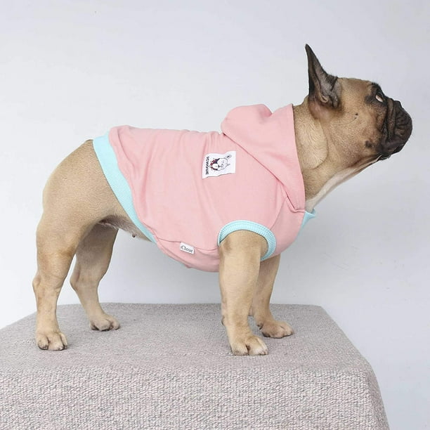 Boston terrier clearance clothes and accessories