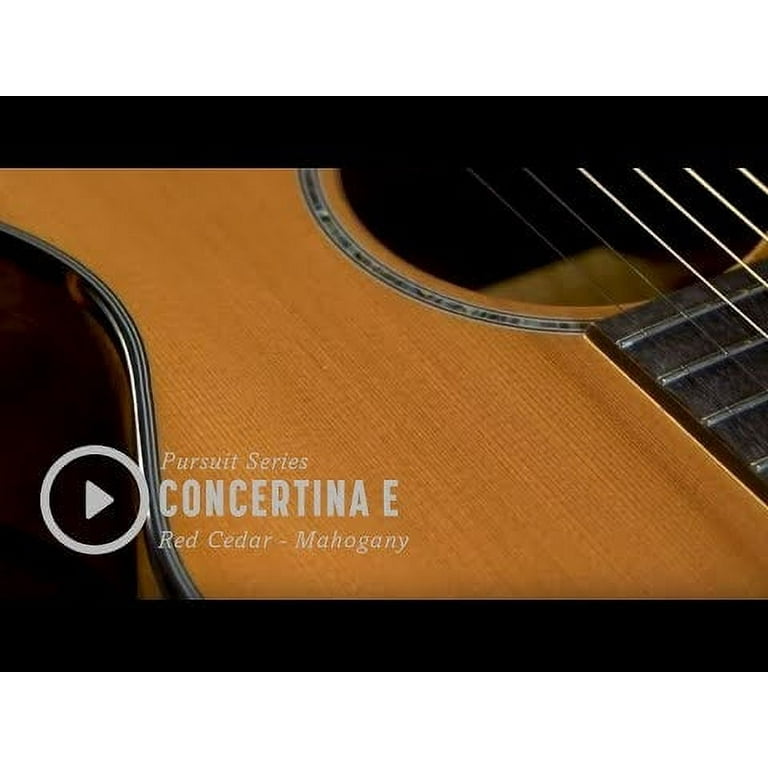 Breedlove pursuit 2024 concertina e