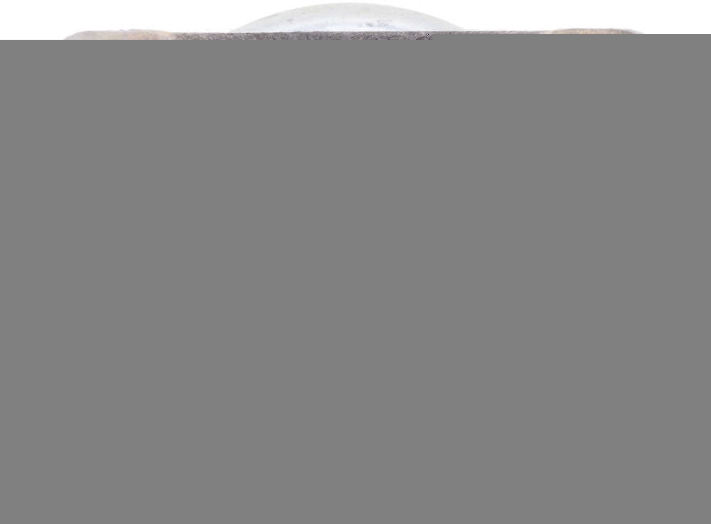 Spicer 10016266 Drive Shaft End Yoke