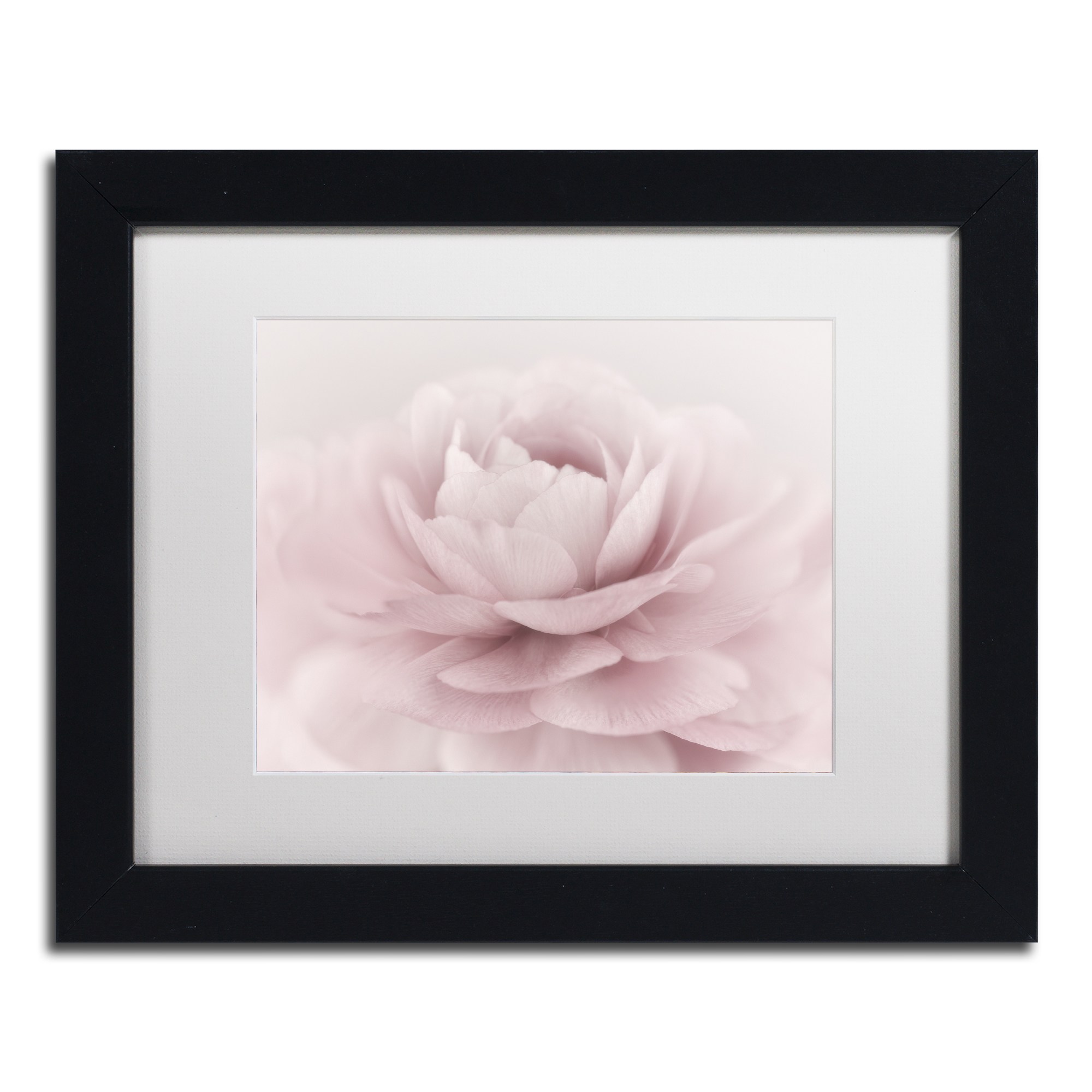 Trademark Fine Art 'Stylisch Rose Pink' Canvas Art by Cora Niele, White Matte, Wood Frame