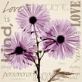 thumbnail image 3 of Koetsier, Albert 12x12 Black Modern Framed Museum Art Print Titled - Love - Violet Chrysanthemum, 3 of 5