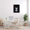 Abstract Rabbit Bunny Makeup Head Black Background Animals & Insects ...