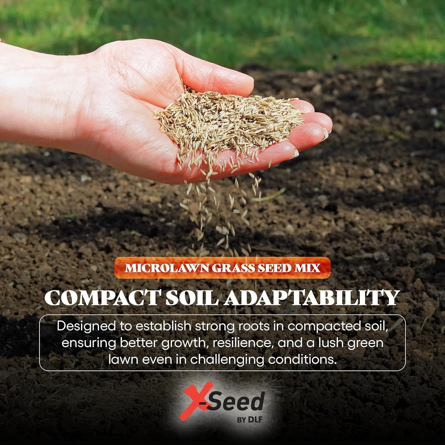 X-Seed 440AS0135UCT144 5 Lb MicroLawn Grass Seed and Microclover Mixture